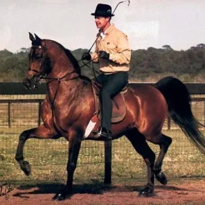 BARNABY++