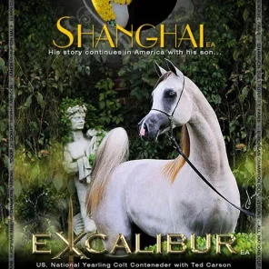 EXCALIBUR EA