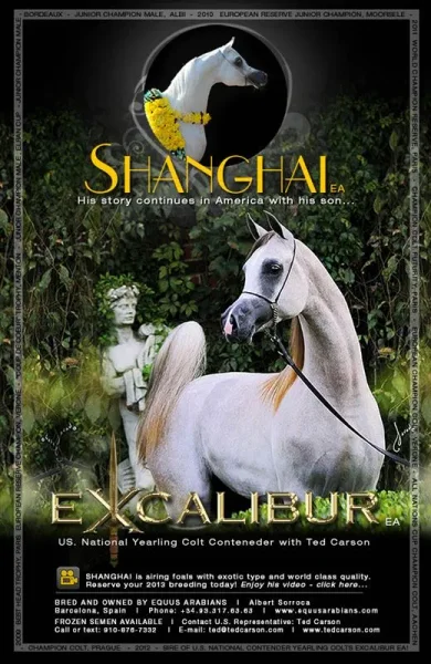 EXCALIBUR EA