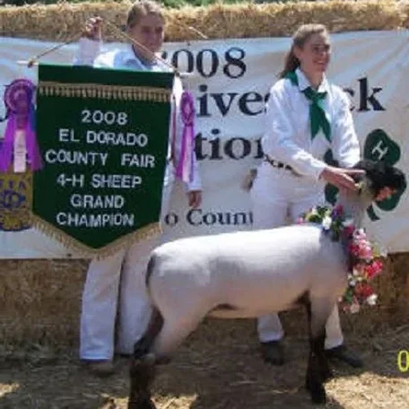 Real Old Fashioned Fair in El Dorado, California. If you hanker for the days when a home town fair included all the good and natural parts of life come enjoy our amazing weather, wonderful people, and hilarious and thrilling events!
