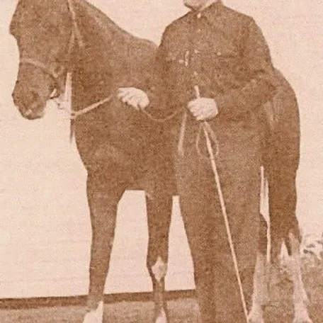 Invasia 1944 Arabian Mare.