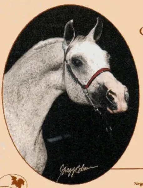 GEDYMIN
