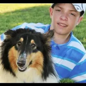 Bailey Meadows Collies