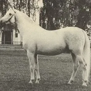 Aquinor
