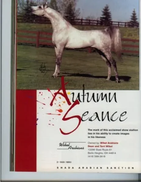 Autumn Seance