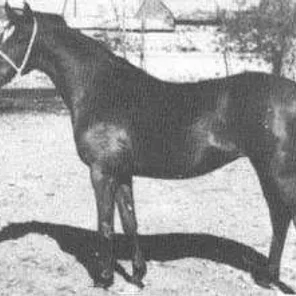 Colima