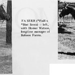 Fa-Serr