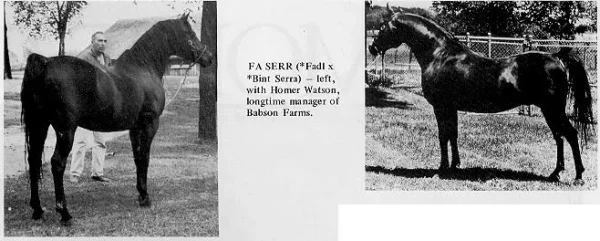 Fa-Serr