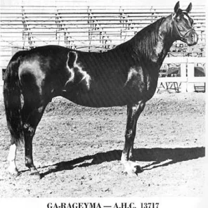 Ga-Rageyma