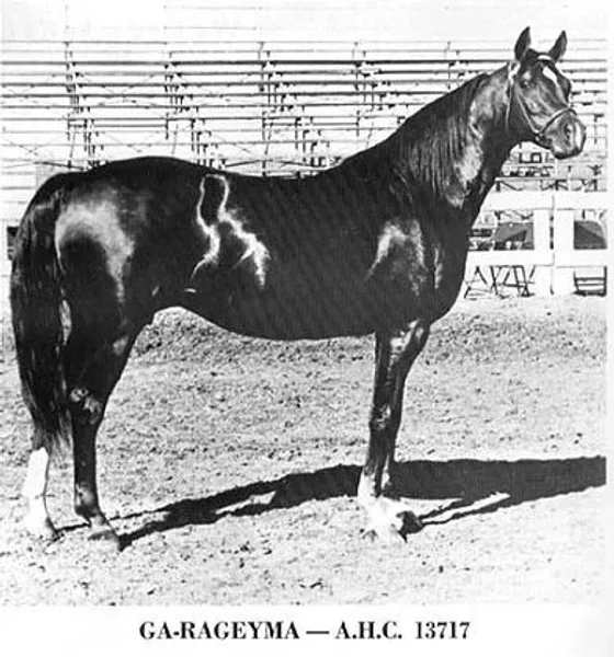 Ga-Rageyma