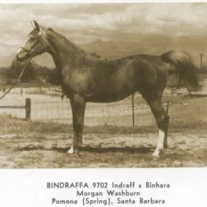 BINDRAFFA
