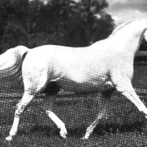 KOHEILAN I