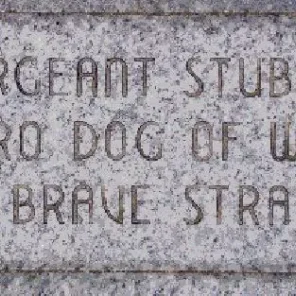 SGT. Stubby