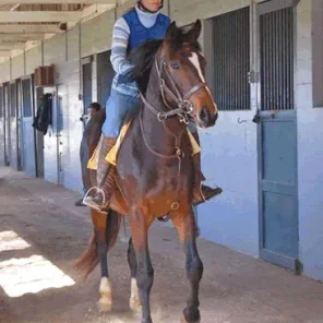 Your Ex- Race Horse . . . This is where it begins - Pt 2