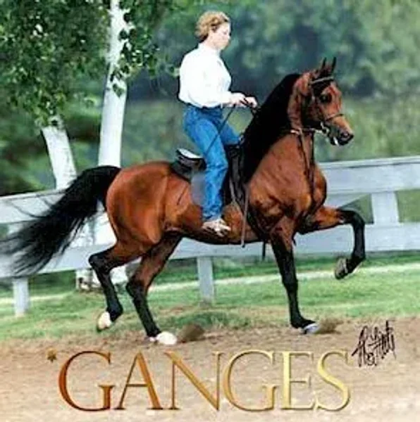 Ganges