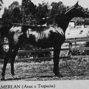 TAMERLAN