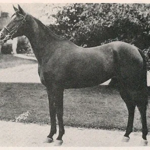BINT SERRA I