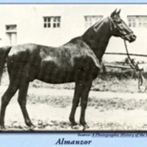 ALMANZOR