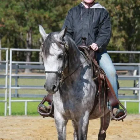 Under Saddle