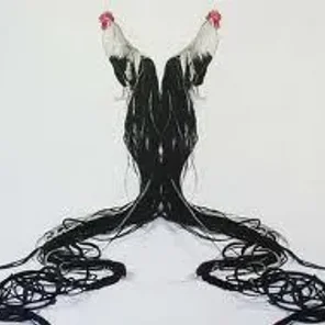 Onagadori (Long Tail)