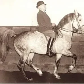 Kanzler