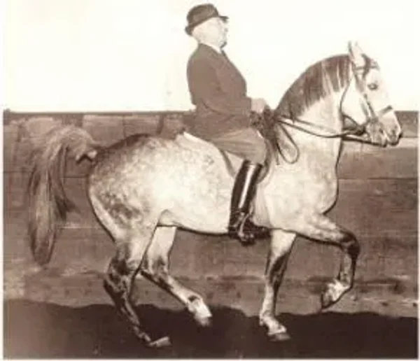Kanzler