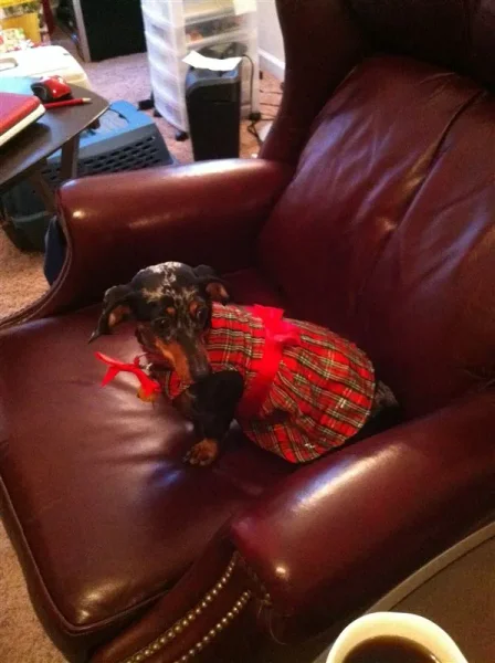 Roxy