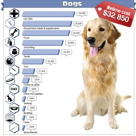 Cutting Pet Care Costs Part 1