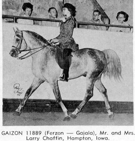 Gaizon