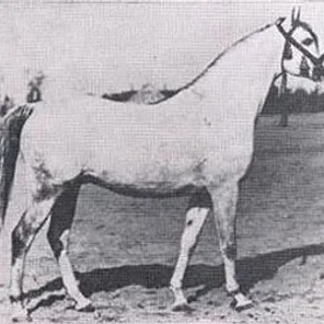 Lotnik