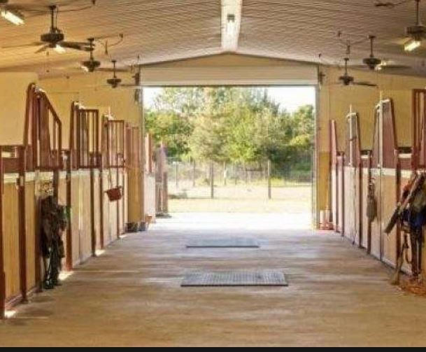 Controlling Problems Birds in Your Barn