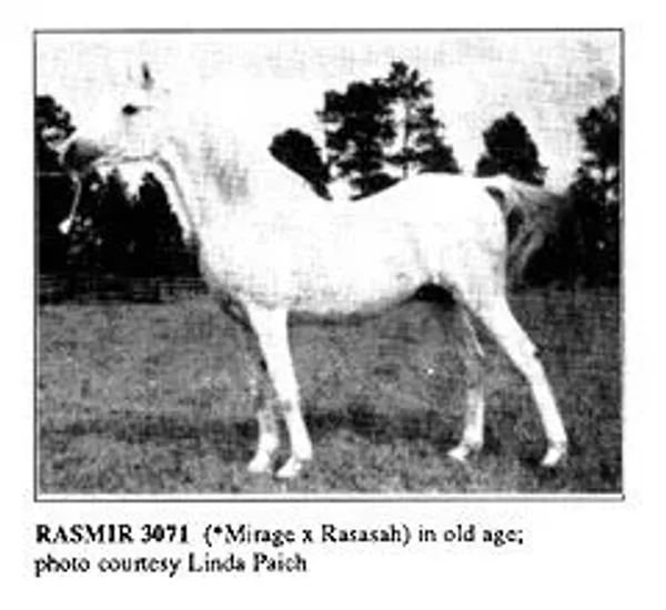 RASMIR