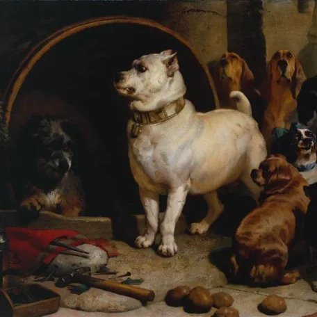 Pet of the Tudors