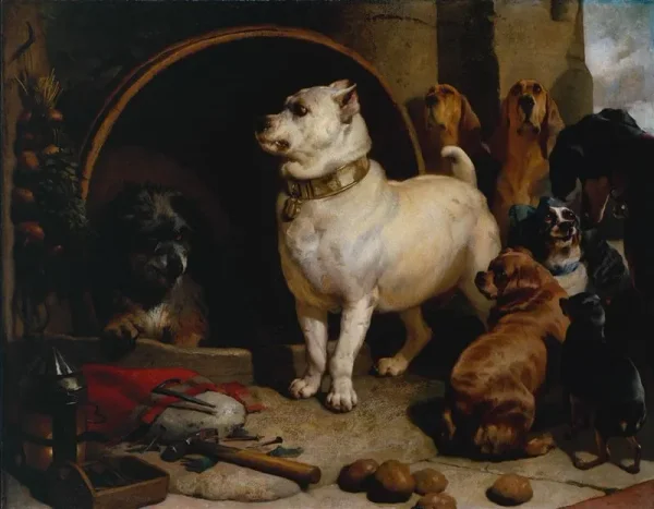 Pet of the Tudors