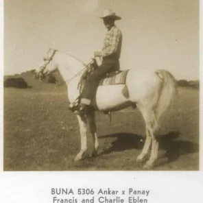 BUNA
