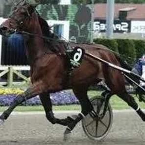 Italian Trotter