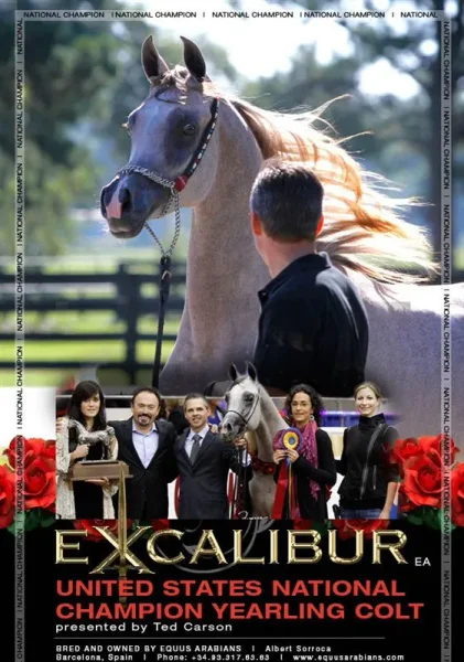 EXCALIBUR EA