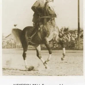 NEYSEYN