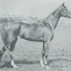 Jaga II