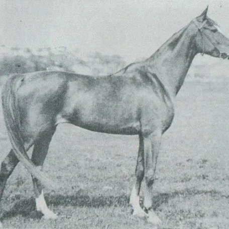 Jaga II