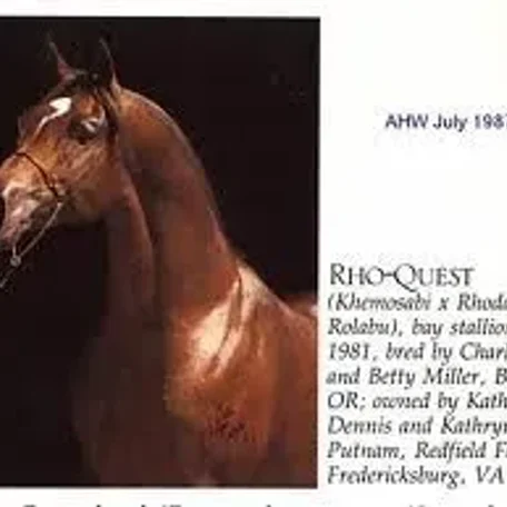 Rho-Quest