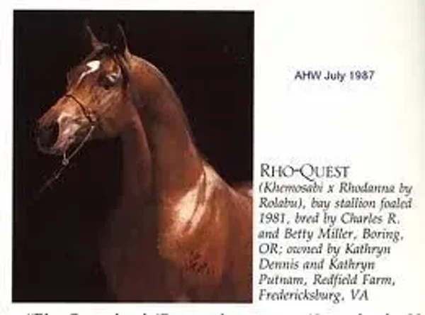 Rho-Quest