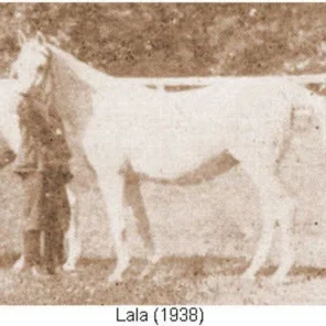 Lala