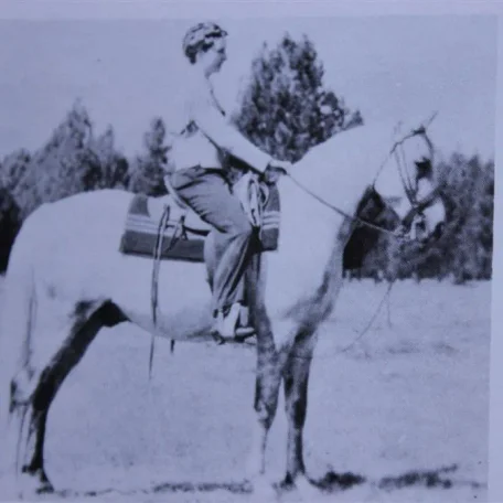 Count Potocki (Raseyn x Bahreyn) grey gelding, foaled December 12, 1929
bred by W.K. Kellogg