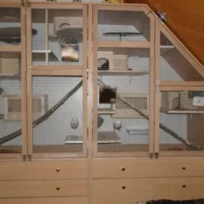 Chinchilla Cages – Top 8 Tips for Buying