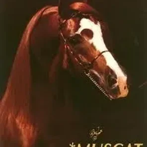 Muscat