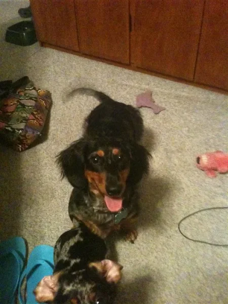 Rudy