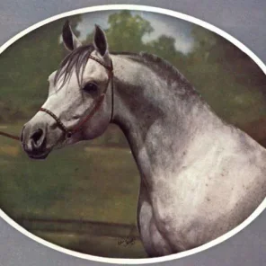 Sireff