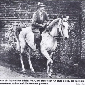 Belka