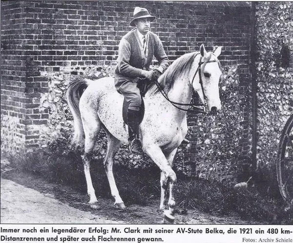 Belka
